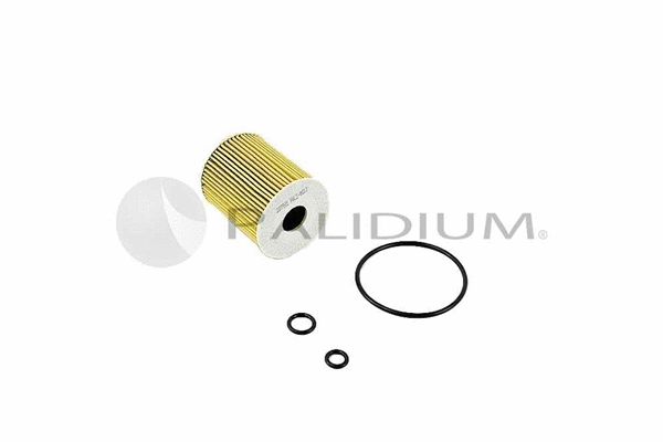 Oil Filter (PAL2-8012)