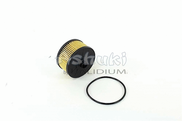 Oil Filter (N001-29)
