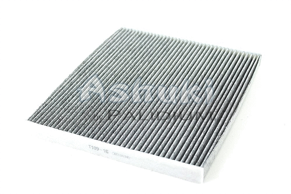 Filter, cabin air (T109-16)
