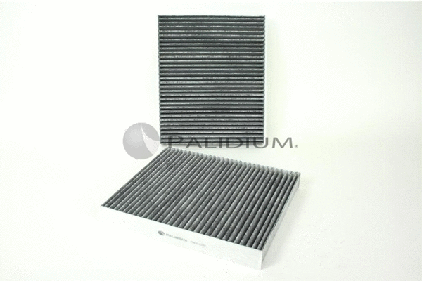 Filter, cabin air (PAL2-4249)