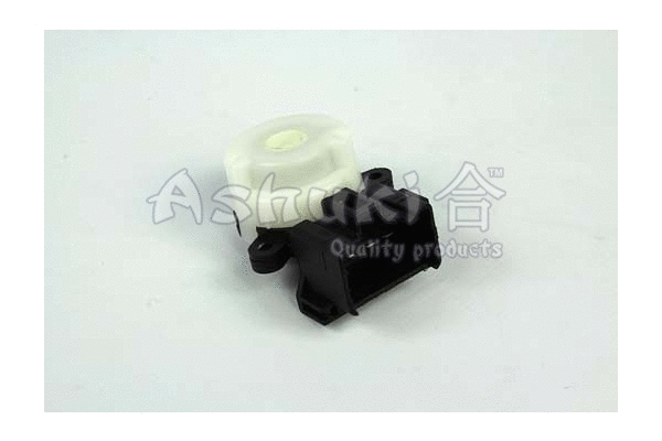 Ignition Switch (T901-20)