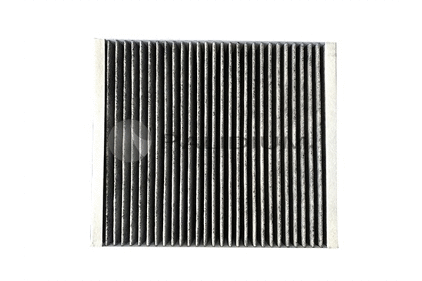 Filter, cabin air (PAL2-4345)