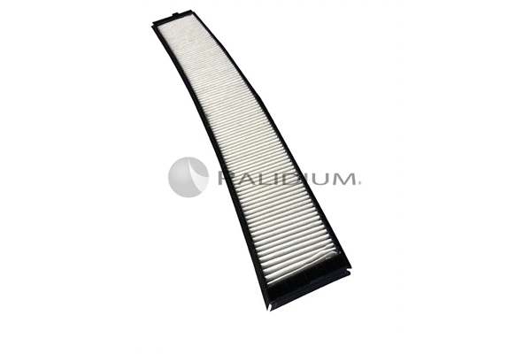 Filter, cabin air (PAL2-4054)