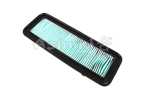 Air Filter (0396-2801)