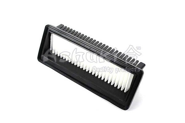 Air Filter (Y017-30)