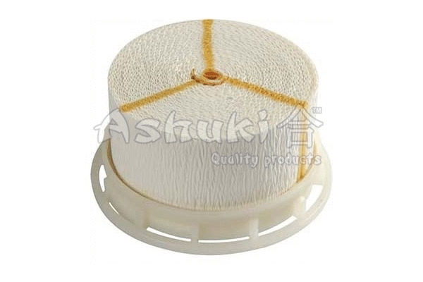 Fuel Filter (T093-40)
