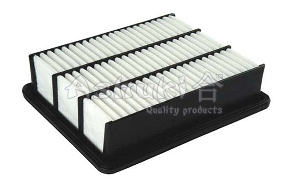 Air Filter (0396-6603)