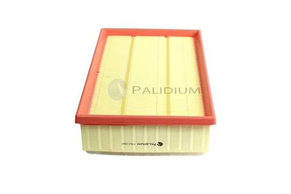 Air Filter (PAL2-2539)
