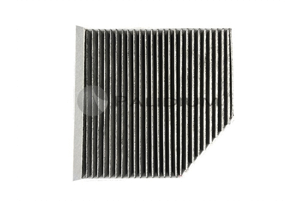 Filter, cabin air (PAL2-4377)