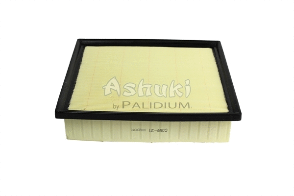 Air Filter (C059-21)