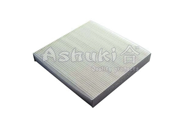 Filter, cabin air (H098-12)