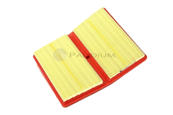 Air Filter (PAL2-2519)