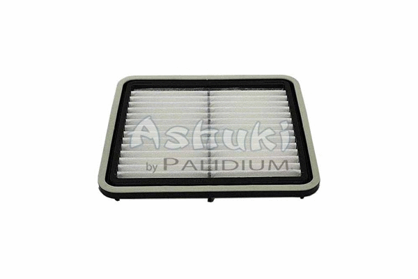 Air Filter (S077-10)