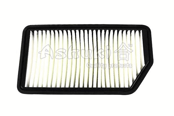 Air Filter (Y017-45)