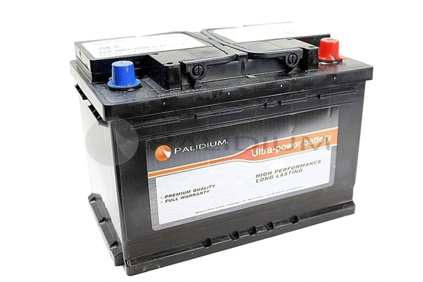 Starter Battery (PAL11-1002)