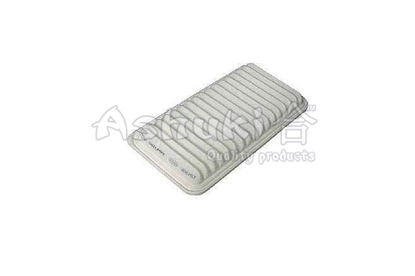 Air Filter (M031-85)