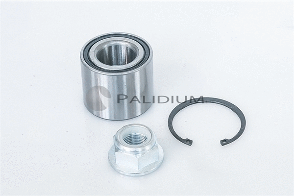 Wheel Bearing Kit (PAL6-1029)