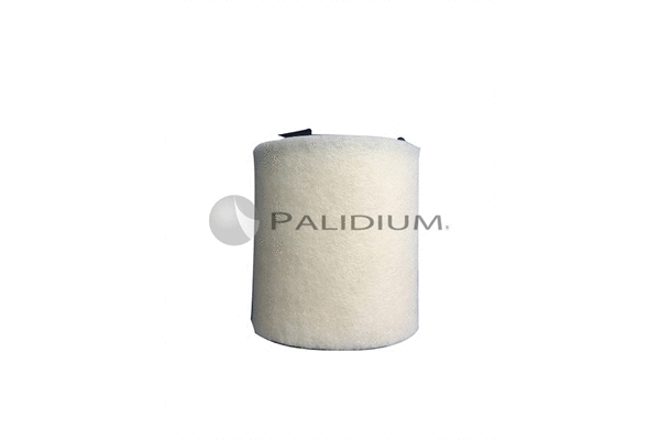 Air Filter (PAL2-2006)