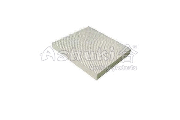 Filter, cabin air (Y030-20)