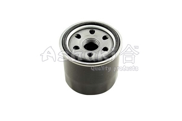 Oil Filter (D151-02)
