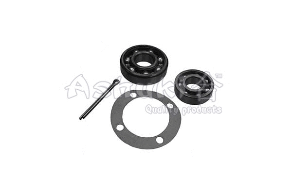 Wheel Bearing Kit (1413-3106)