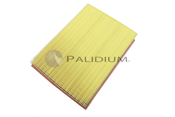 Air Filter (PAL2-2009)