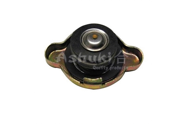 Cap, radiator (H558-10)