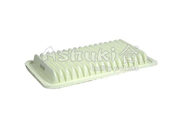 Air Filter (D161-11)