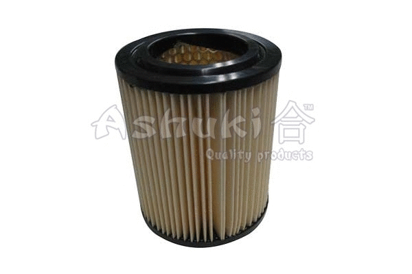 Air Filter (0396-2504)
