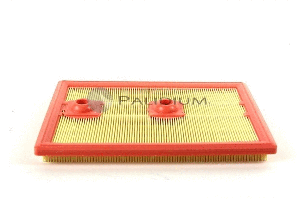 Air Filter (PAL2-2209)
