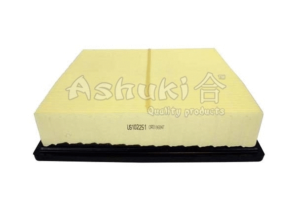 Air Filter (US102251)