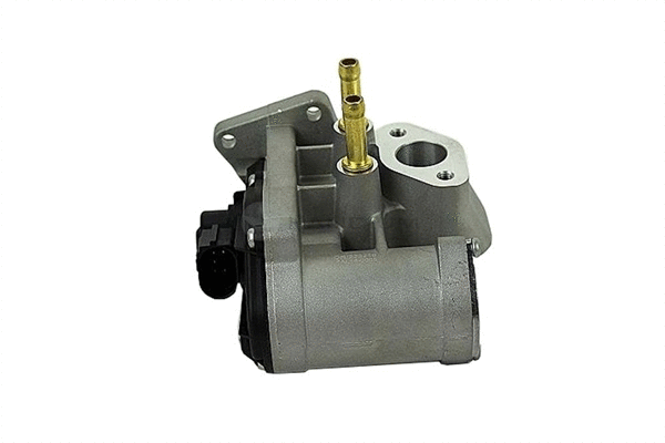 EGR Valve (PAL16-0005)