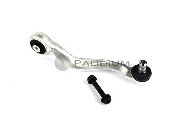 Control/Trailing Arm, wheel suspension (PAL5-6013)
