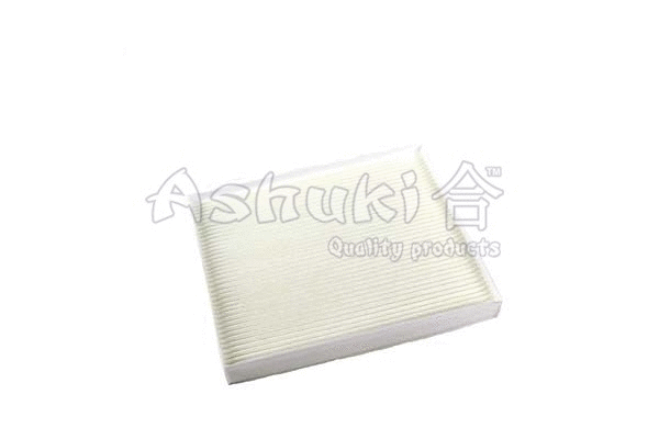 Filter, cabin air (Y030-27)