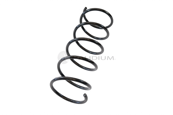 Suspension Spring (PAL10-0002)