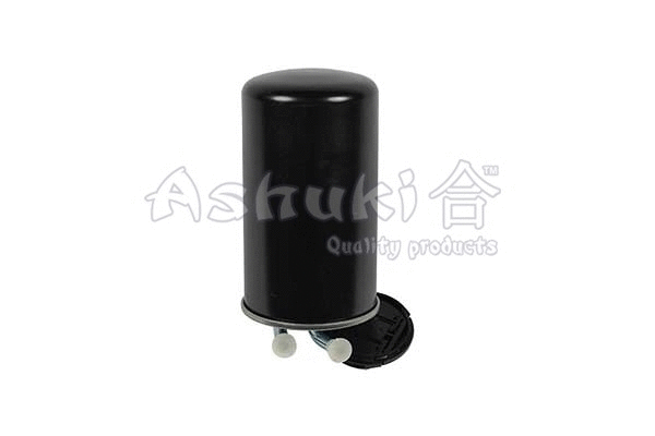 Fuel Filter (C212-05)