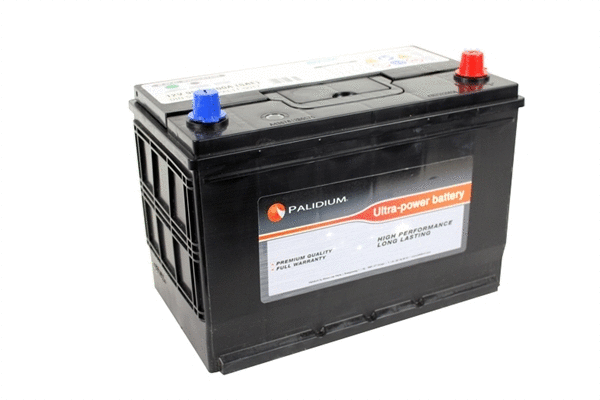 Starter Battery (PAL11-0017)