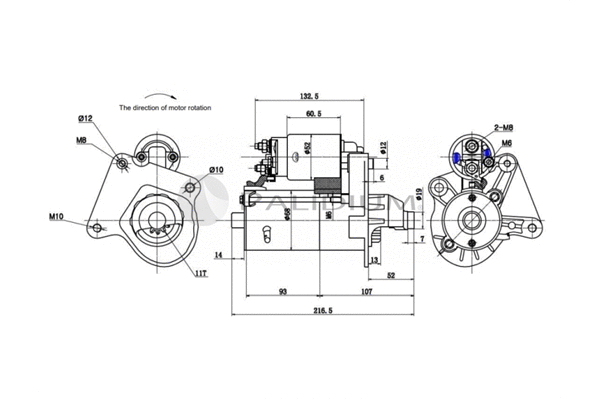 Starter (PAL17-1015)