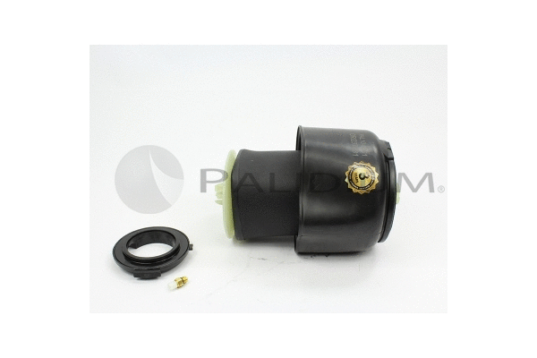 Air Spring, suspension (PAL10-5001)