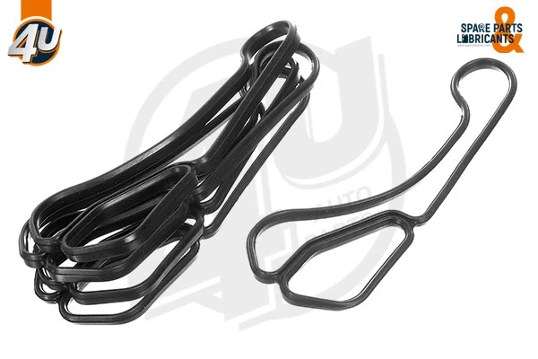 Gasket, oil cooler (16601BW)