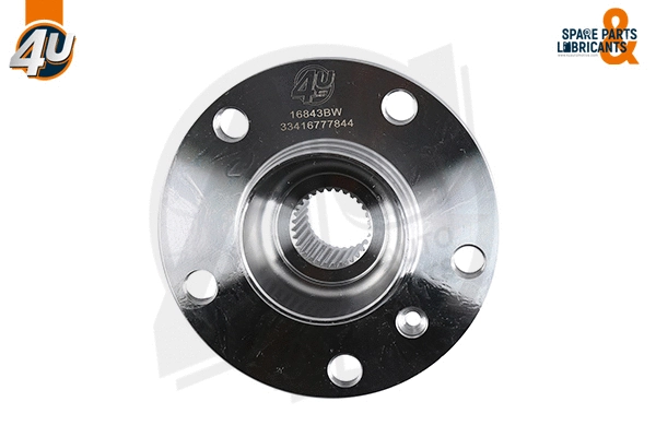 Wheel Hub (16843BW)
