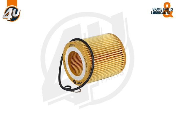 Oil Filter (33571BW)