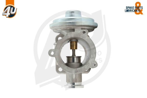 EGR Valve (45841BW)