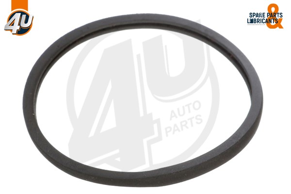 Seal, thermostat (24478ME)