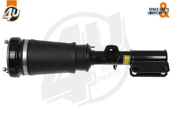 Air Suspension Strut (19251BW)