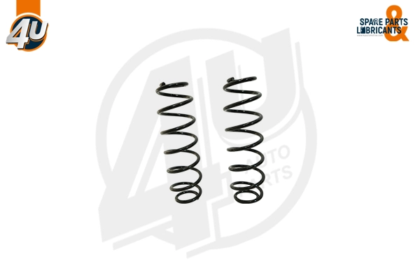 Suspension Spring (39609VV)
