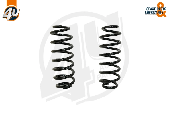 Suspension Spring (39641VV)