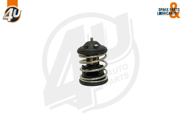 Thermostat, coolant (62070BW)