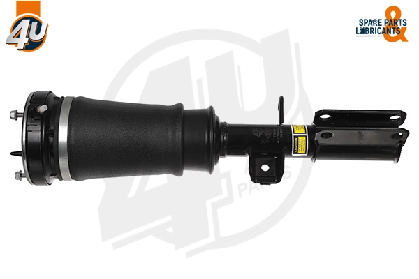 Air Suspension Strut (19250BW)