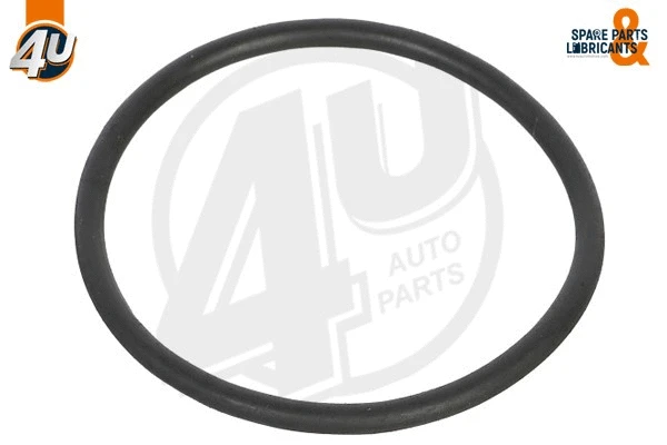 Seal, thermostat (24502ME)